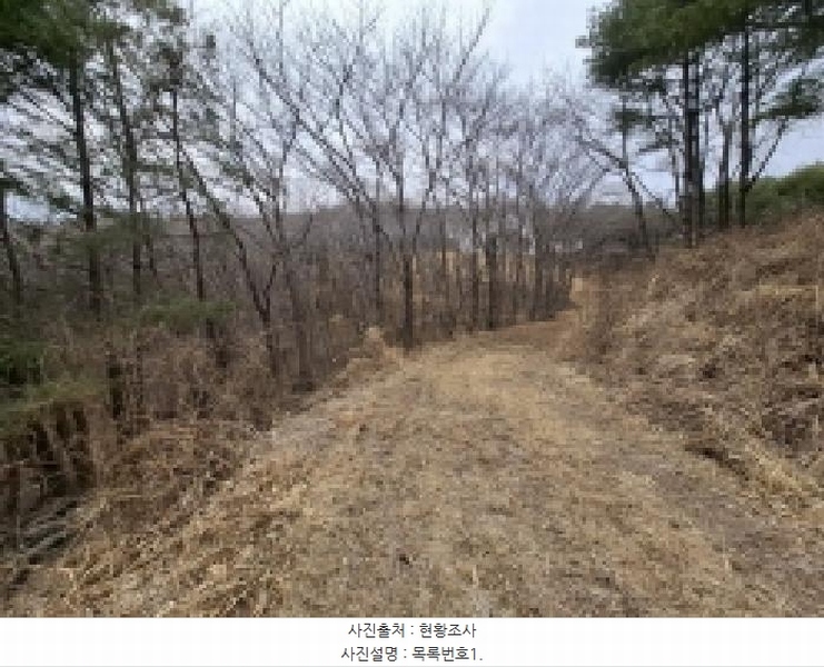 2025타경552 경상남도 사천시 곤명면 삼정리 산29-1 임야 경매 이미지