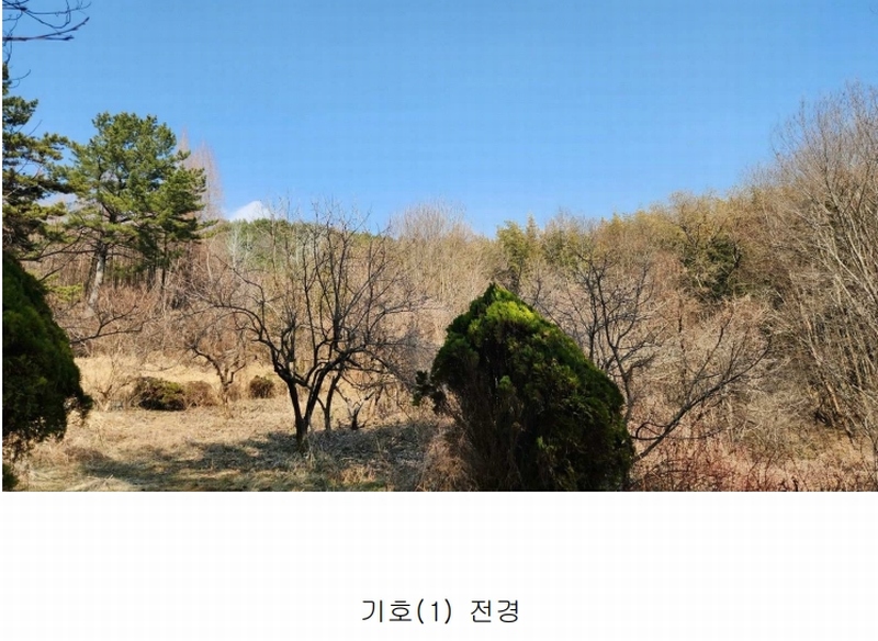2025타경552 경상남도 사천시 곤명면 삼정리 산29-1 임야 경매 이미지