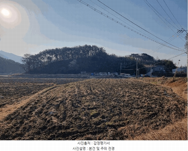 2025타경591 경상남도 하동군 고전면 전도리 240-1 임야 경매 이미지