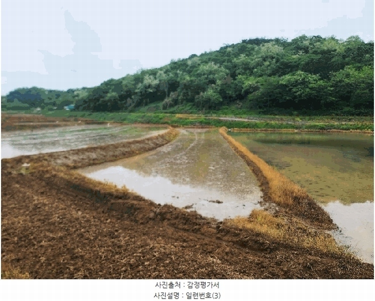 2025타경632 충청남도 당진시 송악읍 월곡리 379 농지 경매 이미지