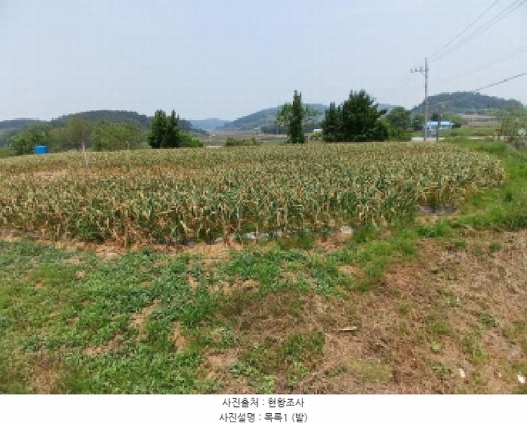 2025타경643 충청남도 서산시 지곡면 장현리 398-1 대지 경매 이미지