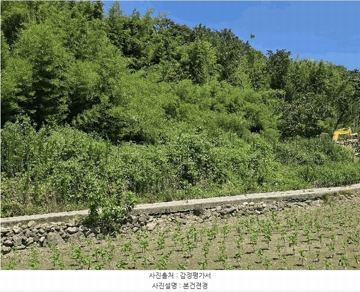 2025타경471 경상북도 경주시 건천읍 송선리 624-6 농지 경매 이미지