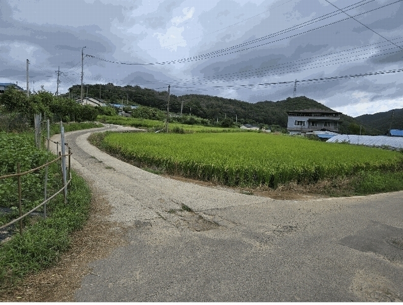 2025타경509 경상북도 경주시 외동읍 녹동리 504-4 농지 경매 이미지