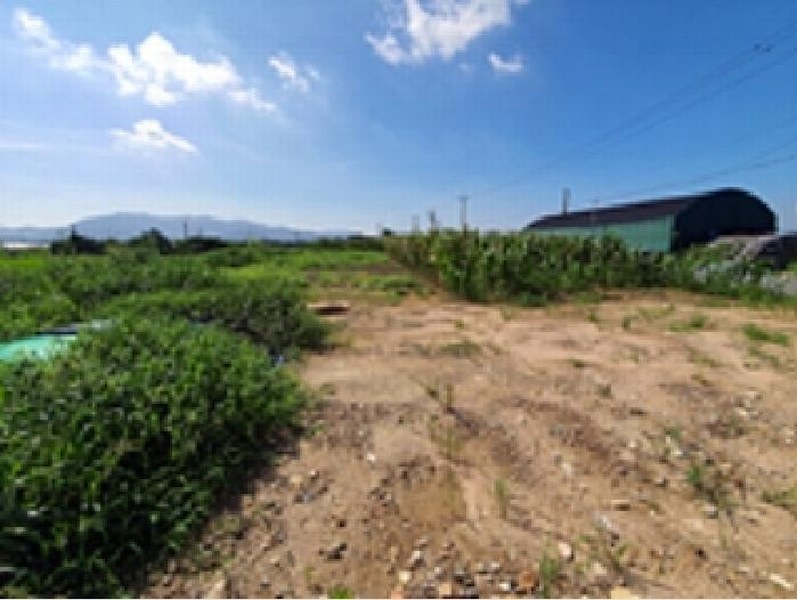 2025타경593 경상남도 김해시 대동면 주동리 999-18 농지 경매 이미지