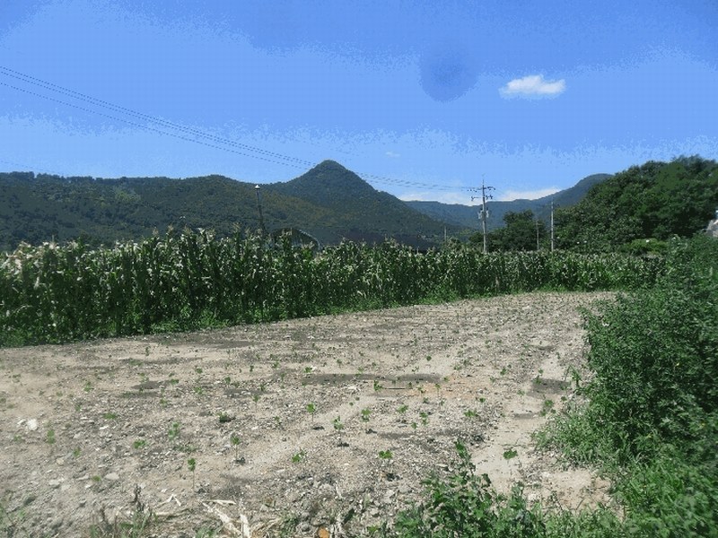 2025타경593 경상남도 김해시 대동면 주동리 999-18 농지 경매 이미지