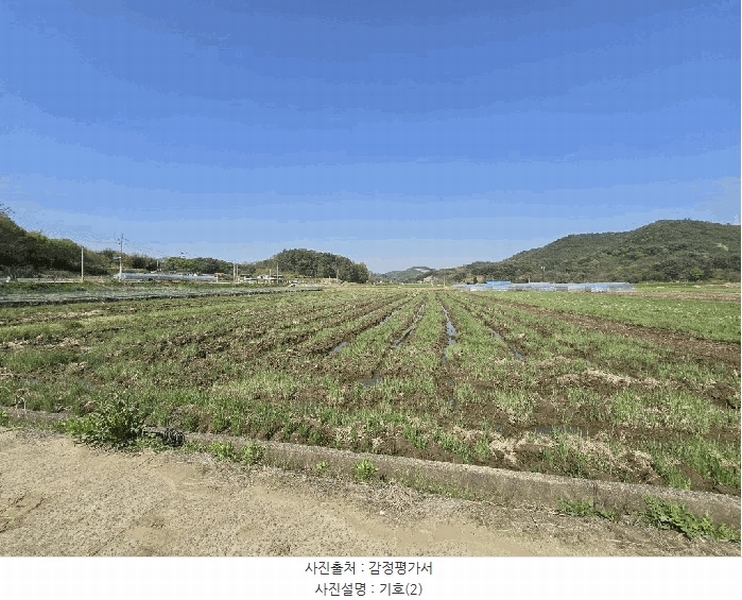 2025타경662 경상남도 하동군 고전면 명교리 513-3 농지 경매 이미지