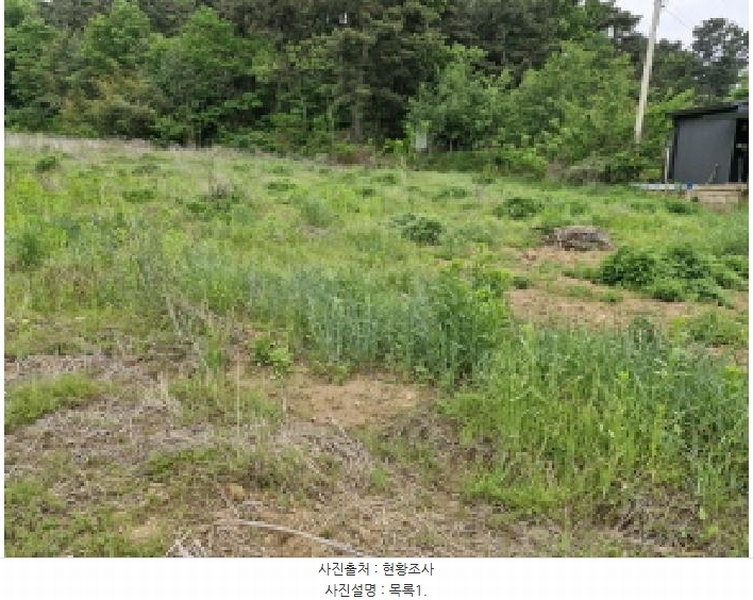 2025타경52311 경기도 안산시 단원구 대부남동 515 농지 경매 이미지