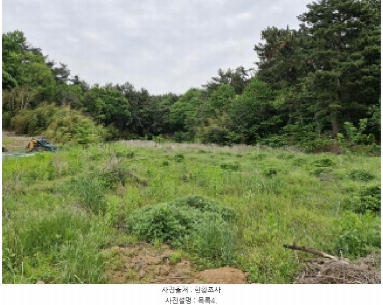 2025타경52311 경기도 안산시 단원구 대부남동 515 농지 경매 이미지