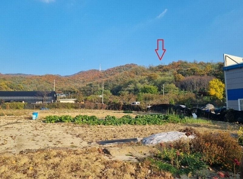 2024타경5052 경기도 안산시 상록구 장상동 산7-2 임야 경매 이미지