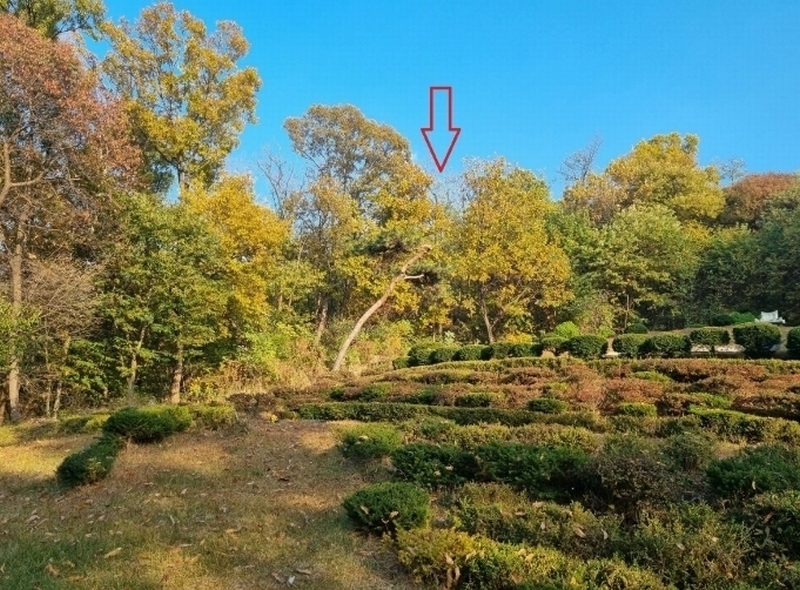 2024타경5052 경기도 안산시 상록구 장상동 산7-2 임야 경매 이미지