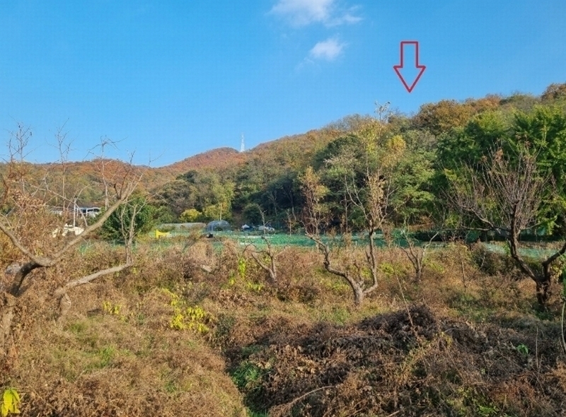 2024타경5052 경기도 안산시 상록구 장상동 산7-2 임야 경매 이미지