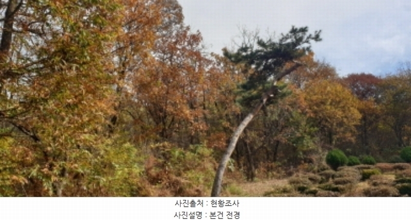 2024타경5052 경기도 안산시 상록구 장상동 산7-2 임야 경매 이미지