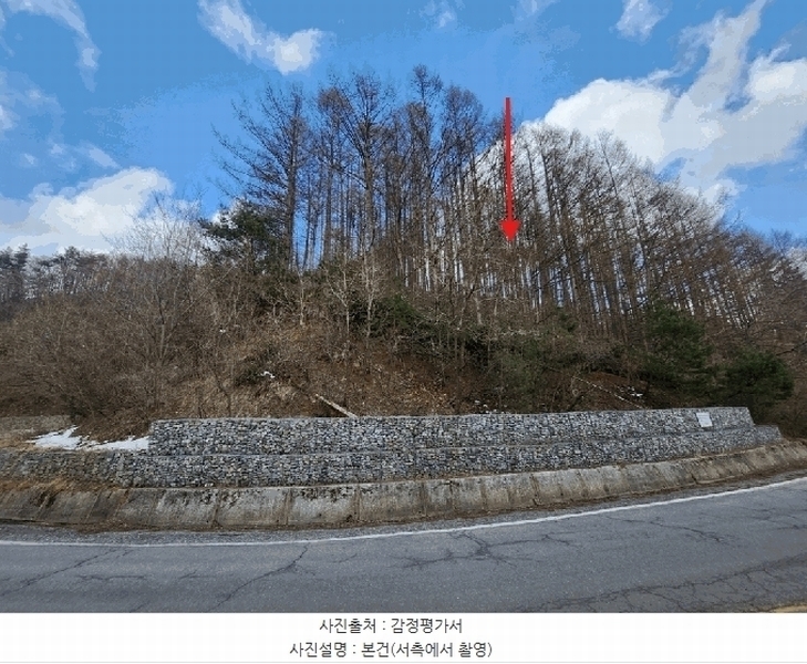 2025타경523 강원특별자치도 태백시 혈동 산63-56 임야 경매 이미지