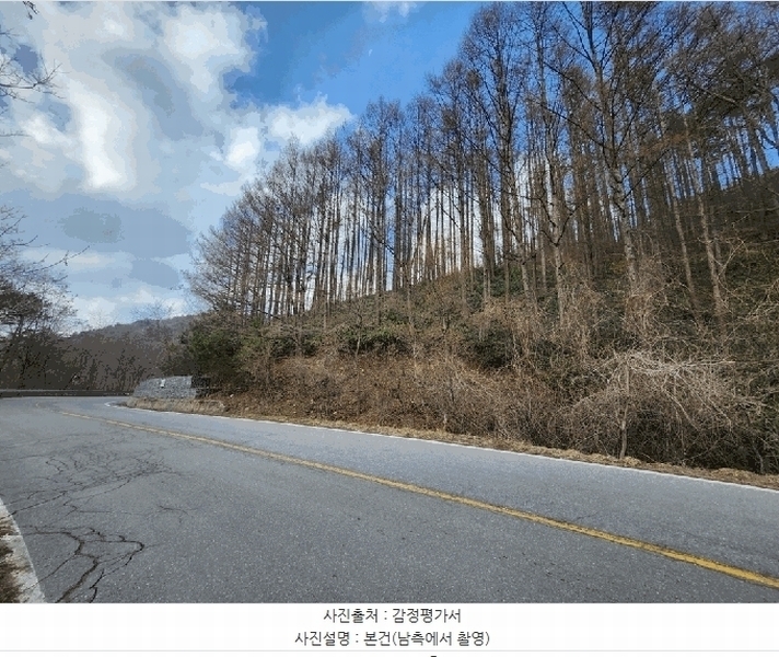 2025타경523 강원특별자치도 태백시 혈동 산63-56 임야 경매 이미지