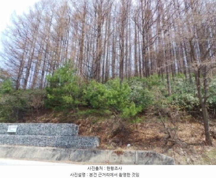 2025타경523 강원특별자치도 태백시 혈동 산63-56 임야 경매 이미지