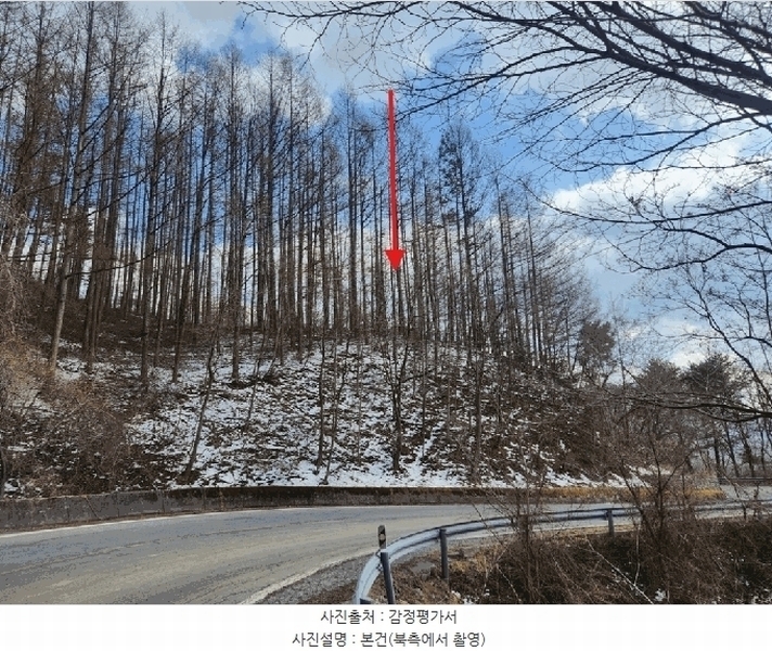 2025타경523 강원특별자치도 태백시 혈동 산63-56 임야 경매 이미지