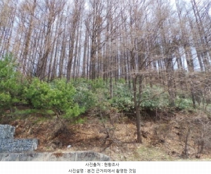 2025타경523 강원특별자치도 태백시 혈동 산63-56 임야 경매 이미지