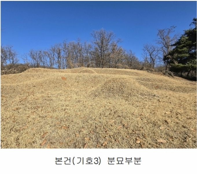 2025타경50868 경기도 광명시 노온사동 산20-2 임야 경매 이미지