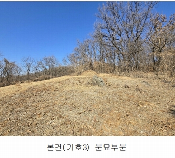 2025타경50868 경기도 광명시 노온사동 산20-2 임야 경매 이미지