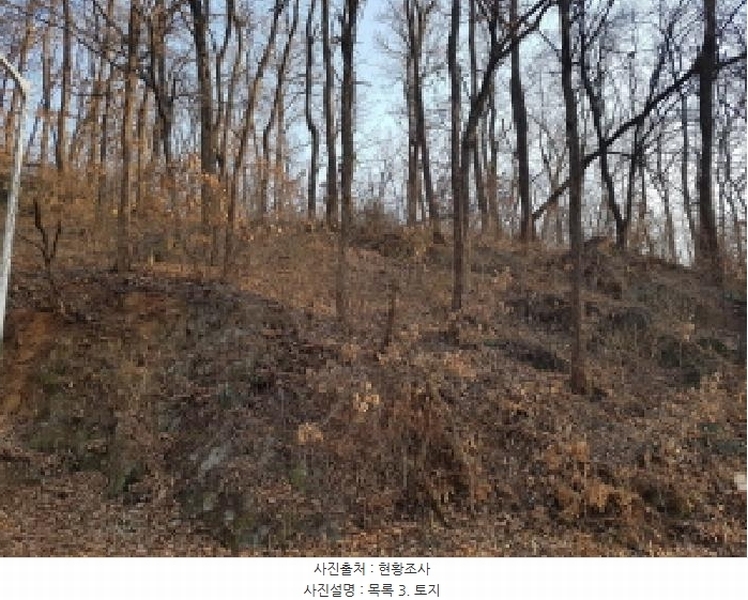 2025타경50868 경기도 광명시 노온사동 산20-2 임야 경매 이미지