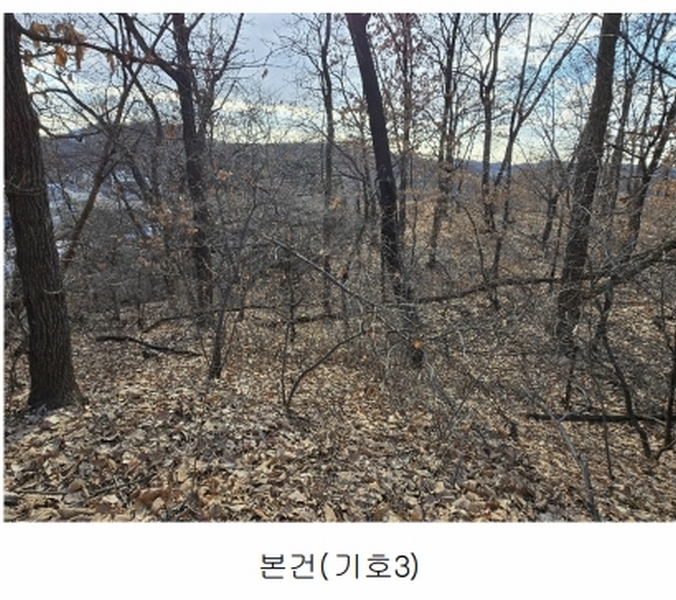 2025타경50868 경기도 광명시 노온사동 산20-2 임야 경매 이미지