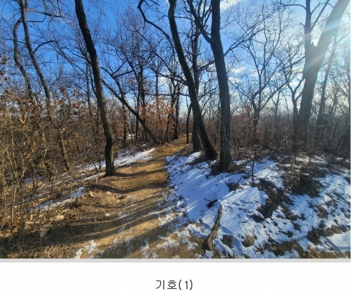 2025타경51038 경기도 시흥시 대야동 산46-8 임야 경매 이미지