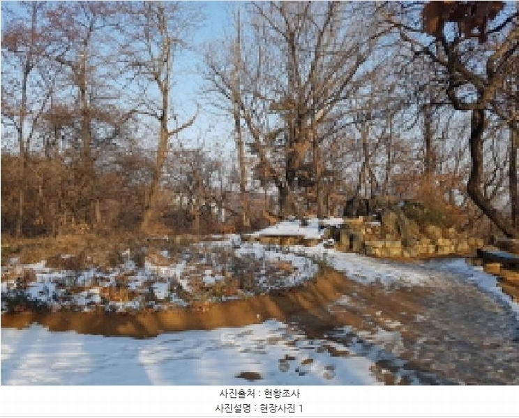 2025타경51038 경기도 시흥시 대야동 산46-8 임야 경매 이미지