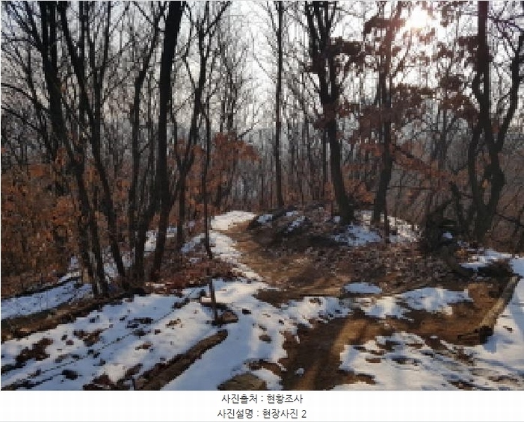 2025타경51038 경기도 시흥시 대야동 산46-8 임야 경매 이미지