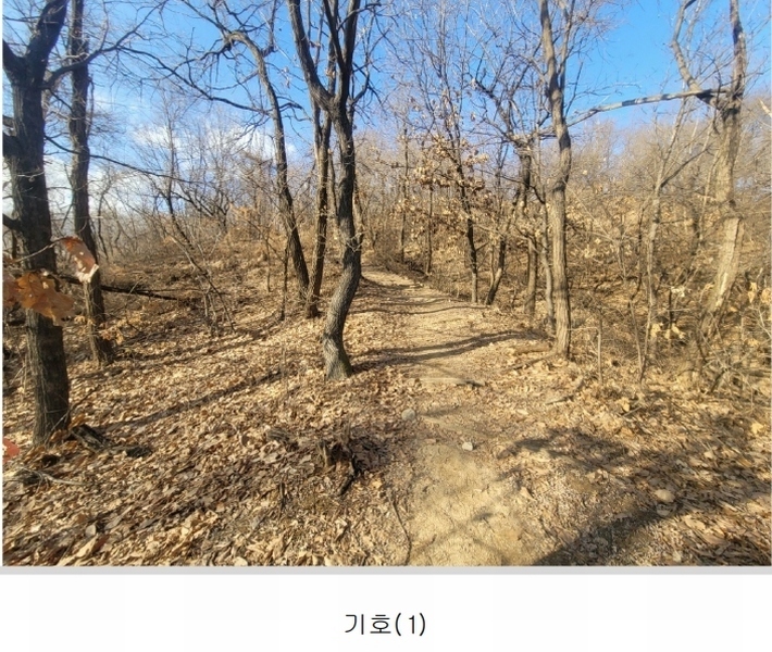 2025타경51038 경기도 시흥시 대야동 산46-8 임야 경매 이미지