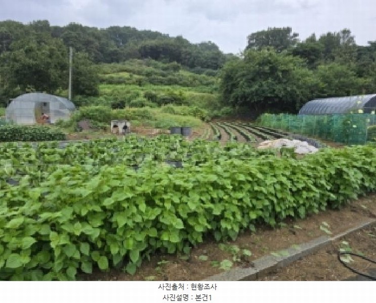 2025타경51692 충청북도 청주시 흥덕구 강내면 학천리 45 대지 경매 이미지