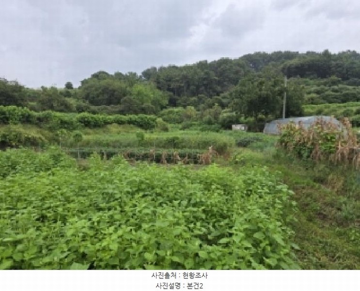 2025타경51692 충청북도 청주시 흥덕구 강내면 학천리 45 대지 경매 이미지
