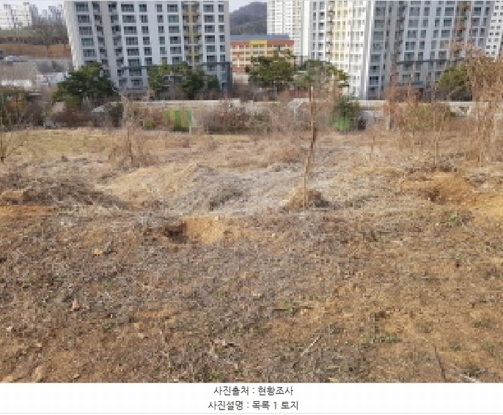 2025타경51796 경기도 시흥시 조남동 430-26 농지 경매 이미지