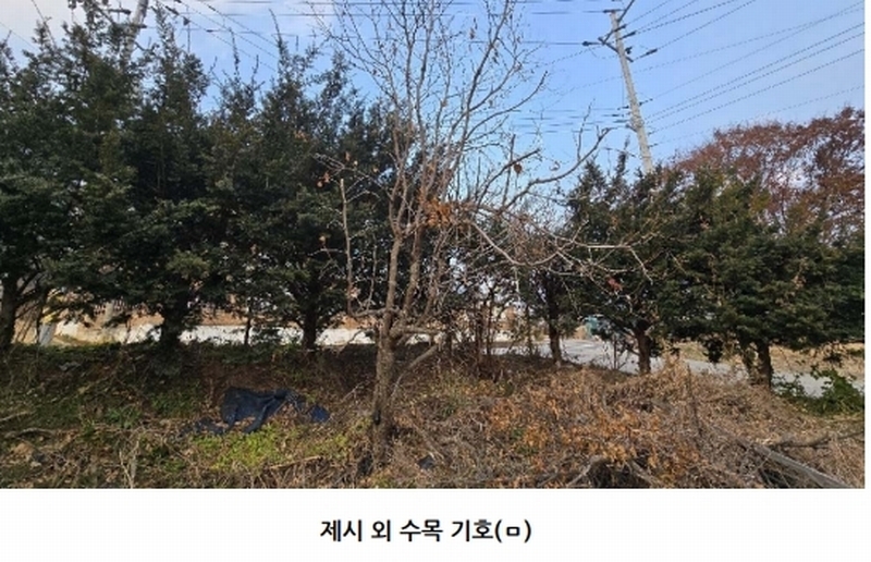2025타경51839 충청북도 보은군 산외면 산대리 222-1 주택 경매 이미지
