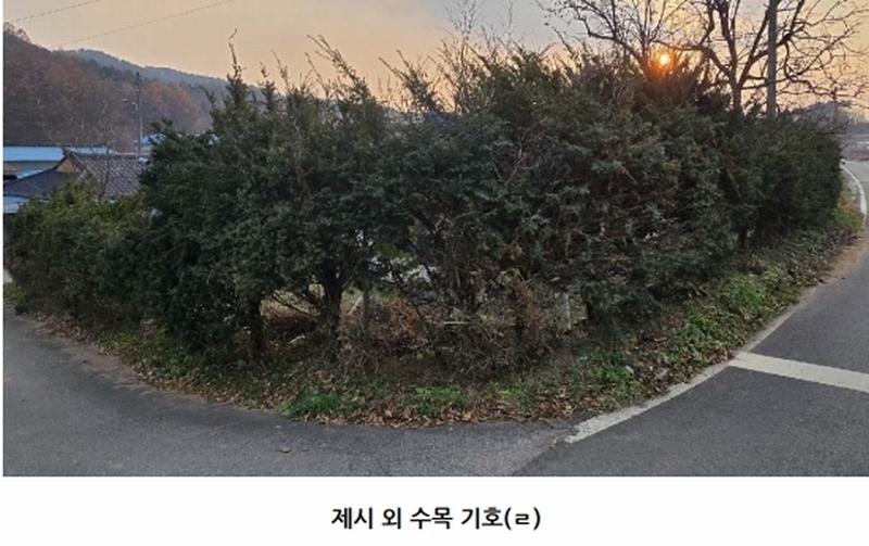 2025타경51839 충청북도 보은군 산외면 산대리 222-1 주택 경매 이미지