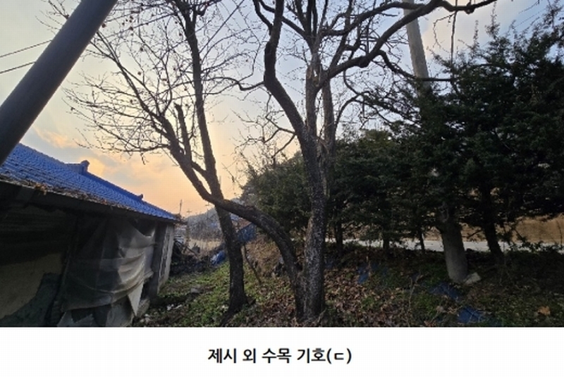 2025타경51839 충청북도 보은군 산외면 산대리 222-1 주택 경매 이미지
