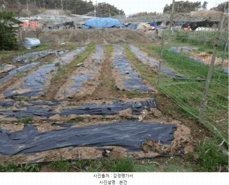 2025타경52139 경기도 안산시 단원구 대부남동 525-4 농지 경매 이미지