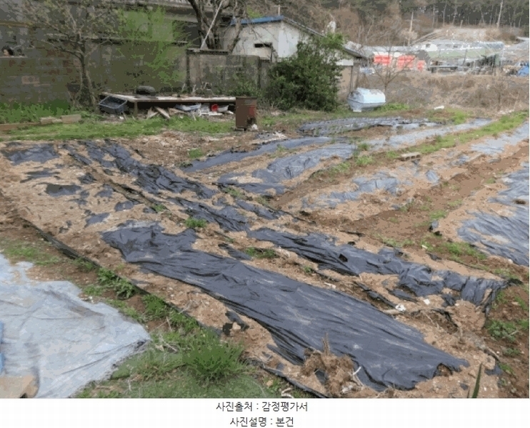 2025타경52139 경기도 안산시 단원구 대부남동 525-4 농지 경매 이미지