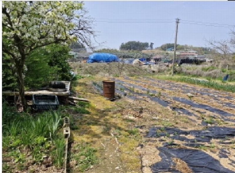 2025타경52139 경기도 안산시 단원구 대부남동 525-4 농지 경매 이미지