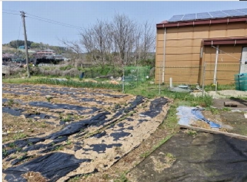 2025타경52139 경기도 안산시 단원구 대부남동 525-4 농지 경매 이미지