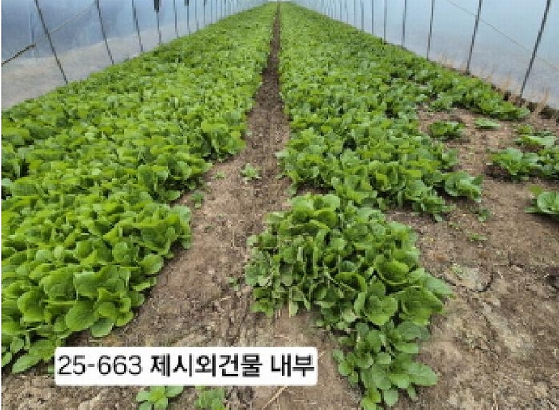 2025타경663 부산광역시 강서구 대저2동 5479 농지 경매 이미지