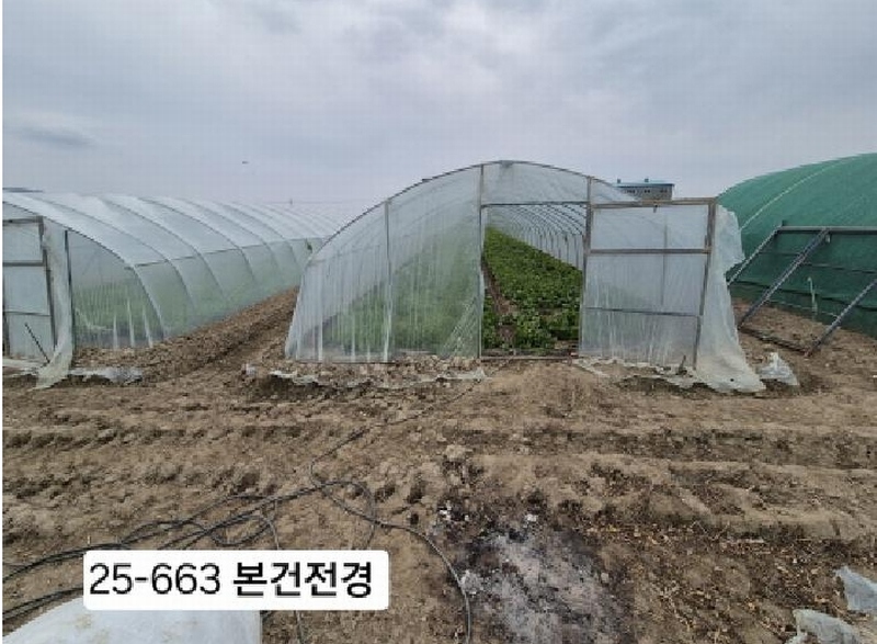 2025타경663 부산광역시 강서구 대저2동 5479 농지 경매 이미지