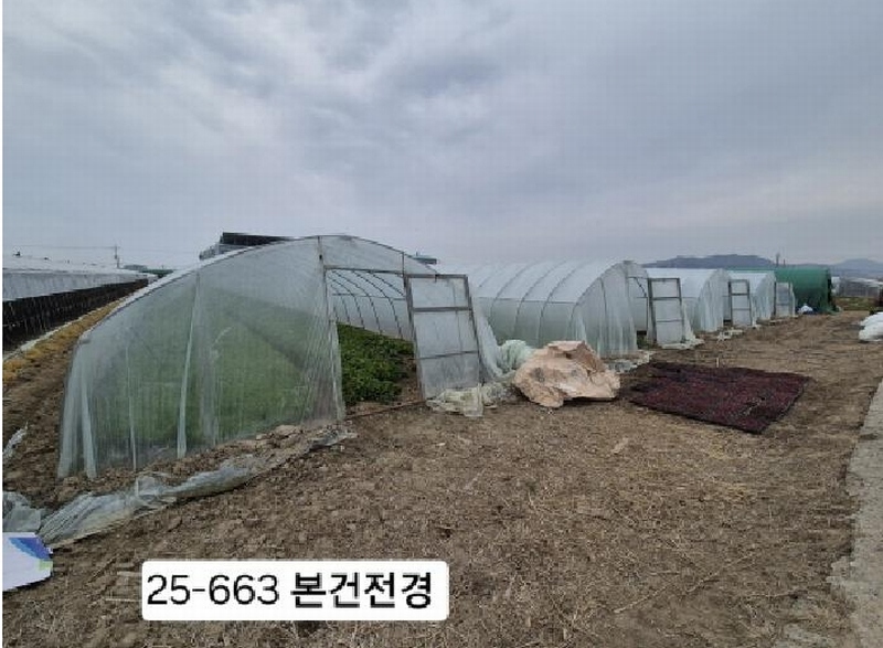2025타경663 부산광역시 강서구 대저2동 5479 농지 경매 이미지