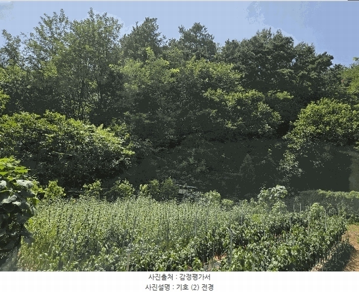 2025타경741 경기도 시흥시 포동 산81-1 임야 경매 이미지