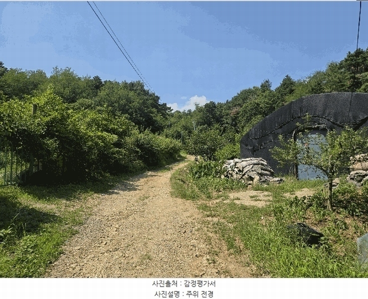 2025타경741 경기도 시흥시 포동 산81-1 임야 경매 이미지