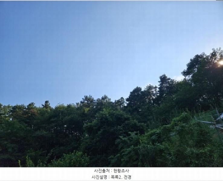 2025타경741 경기도 시흥시 포동 산81-1 임야 경매 이미지