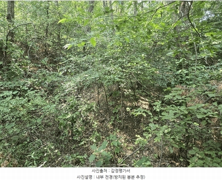 2025타경741 경기도 시흥시 포동 산81-1 임야 경매 이미지