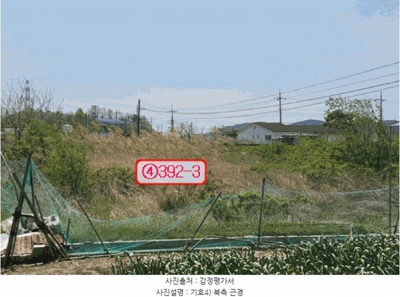 2025타경771 경상북도 영천시 임고면 평천리 392-3 농지 경매 이미지