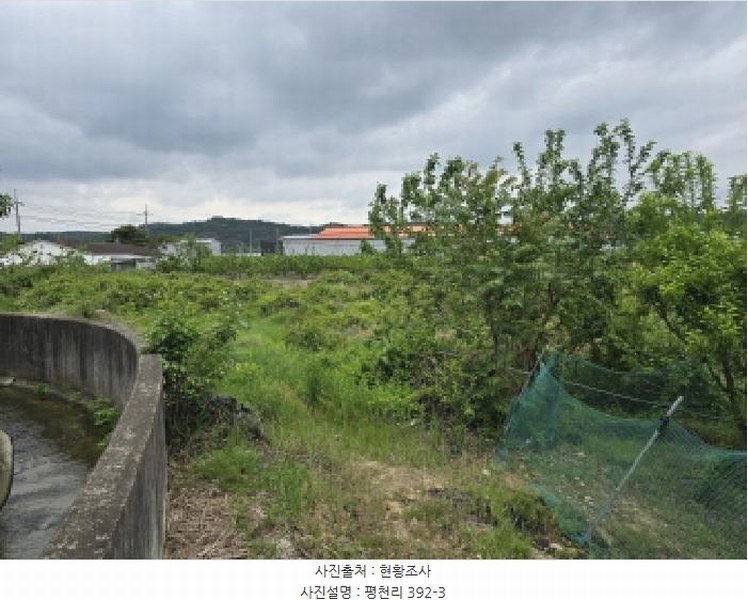 2025타경771 경상북도 영천시 임고면 평천리 392-3 농지 경매 이미지