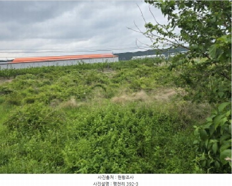 2025타경771 경상북도 영천시 임고면 평천리 392-3 농지 경매 이미지