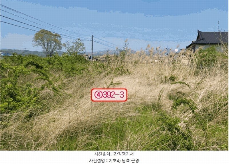 2025타경771 경상북도 영천시 임고면 평천리 392-3 농지 경매 이미지